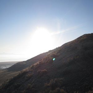 Meet your Posher, Brandi